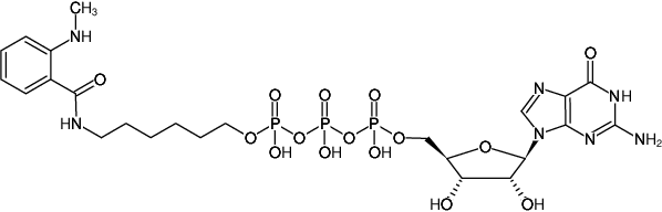 Structural formula of γ-(6-Aminohexyl)-GTP-MANT (γ-(6-Aminohexyl)-guanosine-5'-triphosphate, labeled with MANT, Triethylammonium salt)