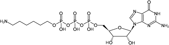 Structural formula of γ-(6-Aminohexyl)-GTP (γ-(6-Aminohexyl)-guanosine-5'-triphosphate, Sodium salt)