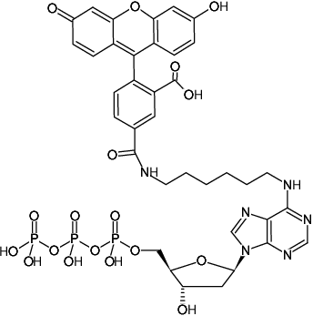 Structural formula of N6-(6-Aminohexyl)-dATP-5-FAM (N6-(6-Aminohexyl)-2'-deoxyadenosine-5'-triphosphate, labeled with 5 FAM, Triethylammonium salt)