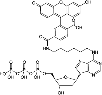 Structural formula of N6-(6-Aminohexyl)-dATP-6-FAM (N6-(6-Aminohexyl)-2'-deoxyadenosine-5'-triphosphate, labeled with 6 FAM, Triethylammonium salt)