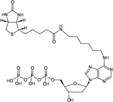 Structural formula of Biotin-7-dATP (N6-(6-Aminohexyl)-dATP - Biotin, N6-(6-Aminohexyl)-2'-deoxyadenosine-5'-triphosphate - Biotin, Triethylammonium salt)