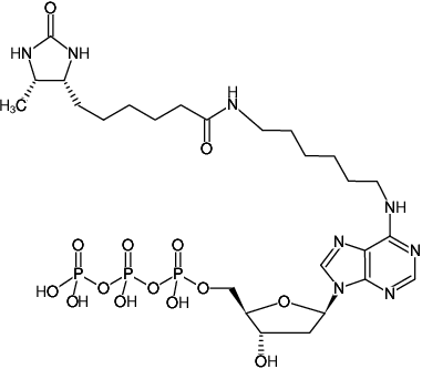 Structural formula of D-Desthiobiotin-7-dATP (N6-(6-Aminohexyl)-dATP - D-Desthiobiotin, N6-(6-Aminohexyl)-2'-deoxyadenosine-5'-triphosphate - D-Desthiobiotin, Triethylammonium salt)