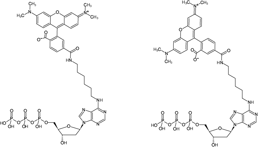 Structural formula of N6-(6-Aminohexyl)-dATP-5/6-TAMRA (N6-(6-Aminohexyl)-2'-deoxyadenosine-5'-triphosphate, labeled with 5/6-TAMRA, Triethylammonium salt)