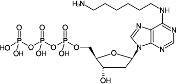 Structural formula of N6-(6-Aminohexyl)-dATP (N6-(6-Aminohexyl)-2'-deoxyadenosine-5'-triphosphate, Sodium salt)