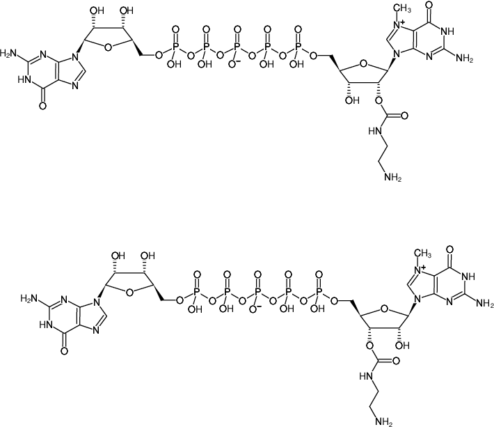 Structural formula of EDA-m7GP5G (2'/3'-O-(2-Aminoethyl-carbamoyl)-P1-(5'-7-Methyl-Guanosyl)- P5-(5'-Guanosyl)pentaphosphate, Sodium salt)