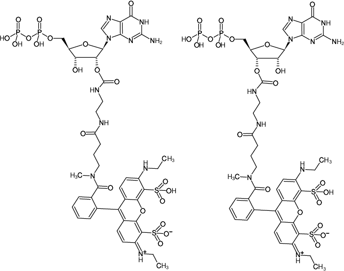 Structural formula of EDA-GDP-ATTO-532 (2'/3'-O-(2-Aminoethyl-carbamoyl)-Guanosine-5'-diphosphate, labeled with ATTO 532, Triethylammonium salt)