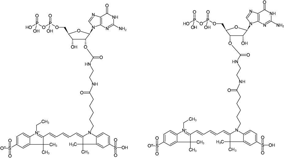 Structural formula of EDA-GDP-Cy5 (2'/3'-O-(2-Aminoethyl-carbamoyl)-Guanosine-5'-diphosphate, labeled with Cy5, Triethylammonium salt)