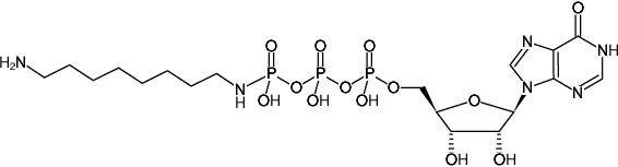 Structural formula of γ-[(8-Aminooctyl)-imido]-ITP (γ-[(8-Aminooctyl)-imido]-inosine-5'-triphosphate, Sodium salt)