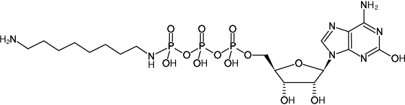 Structural formula of γ-[(8-Aminooctyl)-imido]-2-Hydroxy-ATP (γ-[(8-Aminooctyl)-imido]-2-hydroxy-adenosine-5'-triphosphate, Sodium salt)