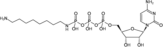 Structural formula of γ-[(8-Aminooctyl)-imido]-CTP (γ-[(8-Aminooctyl)-imido]-cytidine-5'-triphosphate, Sodium salt)