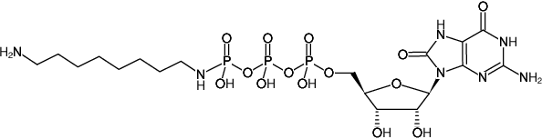 Structural formula of γ-[(8-Aminooctyl)-imido]-8-oxo-GTP (γ-[(8-Aminooctyl)-imido]-8-hydroxy-GTP, γ-[(8-Aminooctyl)-imido]-8-oxo-guanosine-5'-triphosphate, Sodium salt)