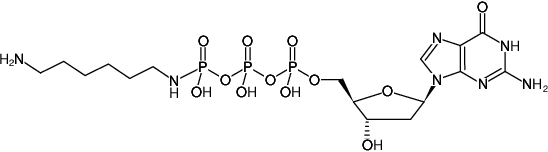 Structural formula of γ-[(6-Aminohexyl)-imido]-dGTP (γ-[(6-Aminohexyl)-imido]-2'-deoxyguanosine-5'-triphosphate, Sodium salt)