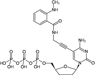 Structural formula of 5-Propargylamino-ddCTP-MANT (5-Propargylamino-2',3'-dideoxycytidine-5'-triphosphate, labeled with MANT, Triethylammonium salt)