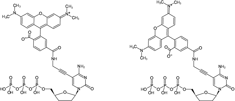 Structural formula of 5-Propargylamino-ddCTP-5/6-TAMRA (5-Propargylamino-2',3'-dideoxycytidine-5'-triphosphate, labeled with 5/6-TAMRA, Triethylammonium salt)