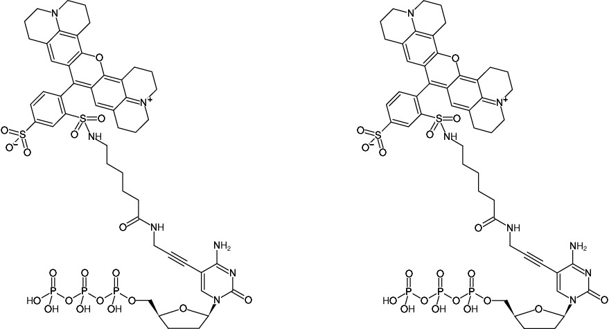 Structural formula of 5-Propargylamino-ddCTP-Texas Red (5-Propargylamino-2',3'-dideoxycytidine-5'-triphosphate, labeled with Texas Red, Triethylammonium salt)