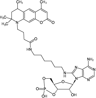 Structural formula of 8-(6-Aminohexyl)-amino-cAMP-ATTO-390 (8-(6-Aminohexyl)-amino-adenosine-3',5'-cyclic monophosphate, labeled with ATTO 390, Triethylammonium salt)