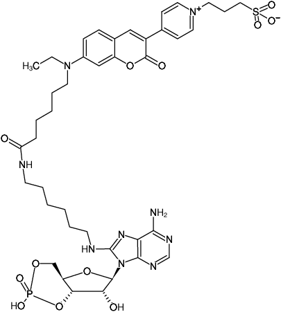 Structural formula of 8-(6-Aminohexyl)-amino-cAMP-DY-485XL (8-(6-Aminohexyl)-amino-adenosine-3',5'-cyclic monophosphate, labeled with DY 485XL)