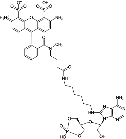 Structural formula of 8-(6-Aminohexyl)-amino-cAMP-ATTO-488 (8-(6-Aminohexyl)-amino-adenosine-3',5'-cyclic monophosphate, labeled with ATTO 488, Triethylammonium salt)