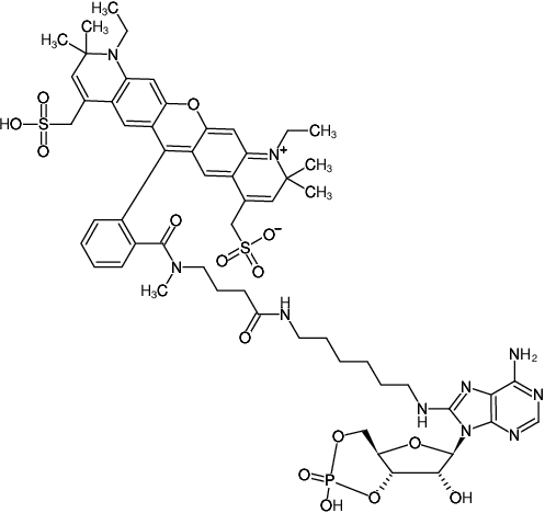 Structural formula of 8-(6-Aminohexyl)-amino-cAMP-ATTO-594 (8-(6-Aminohexyl)-amino-adenosine-3',5'-cyclic monophosphate, labeled with ATTO 594, Triethylammonium salt)