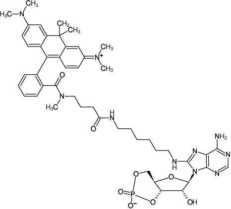 Structural formula of 8-(6-Aminohexyl)-amino-cAMP-ATTO-620 (8-(6-Aminohexyl)-amino-adenosine-3',5'-cyclic monophosphate, labeled with ATTO 620, Triethylammonium salt)