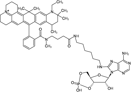 Structural formula of 8-(6-Aminohexyl)-amino-cAMP-ATTO-647N (8-(6-Aminohexyl)-amino-adenosine-3',5'-cyclic monophosphate, labeled with ATTO 647N, Triethylammonium salt)