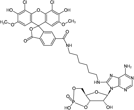 Structural formula of 8-(6-Aminohexyl)-amino-cAMP-6-JOE (8-(6-Aminohexyl)-amino-adenosine-3',5'-cyclic monophosphate, labeled with 6-JOE, Triethylammonium salt)