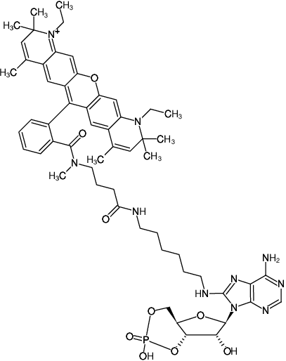 Structural formula of 8-(6-Aminohexyl)-amino-cAMP-ATTO-Rho13 (8-(6-Aminohexyl)-amino-adenosine-3',5'-cyclic monophosphate, labeled with ATTO Rho13, Triethylammonium salt)