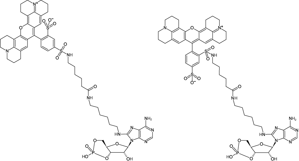 Structural formula of 8-(6-Aminohexyl)-amino-cAMP-Texas Red (8-(6-Aminohexyl)-amino-adenosine-3',5'-cyclic monophosphate, labeled with Texas Red, Triethylammonium salt)