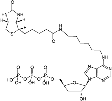 Structural formula of N6-(6-Aminohexyl)-3'-dATP-Biotin (N6-(6-Aminohexyl)-3'-deoxyadenosine-5'-triphosphate-Biotin, Sodium salt)