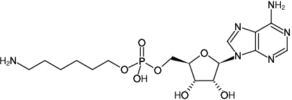 Structural formula of α-(6-Aminohexyl)-AMP (α-(6-Aminohexyl)-adenosine-5'-monophosphate, Sodium salt)