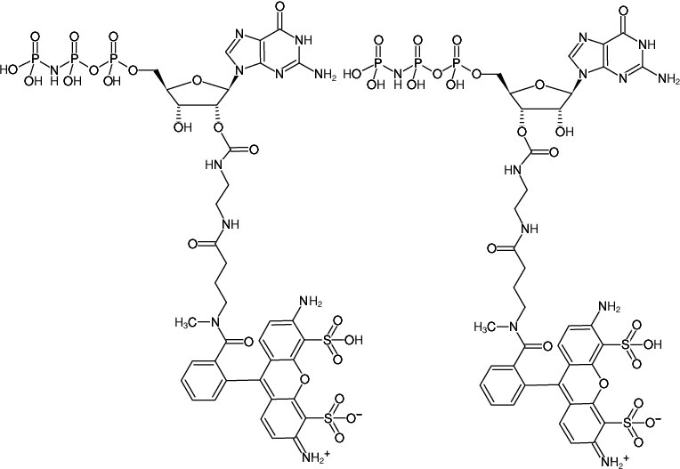 Structural formula of EDA-GppNHp (EDA-GMPPNP)-ATTO-488 (2'/3'-O-(2-Aminoethyl-carbamoyl)-Guanosine-5'-[(β,γ)-imido] triphosphate, labeled with ATTO 488, Triethylammonium salt)