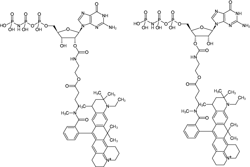 Structural formula of EDA-GppNHp (EDA-GMPPNP)-ATTO-647N (2'/3'-O-(2-Aminoethyl-carbamoyl)-Guanosine-5'-[(β,γ)-imido] triphosphate, labeled with ATTO 647N, Triethylammonium salt)