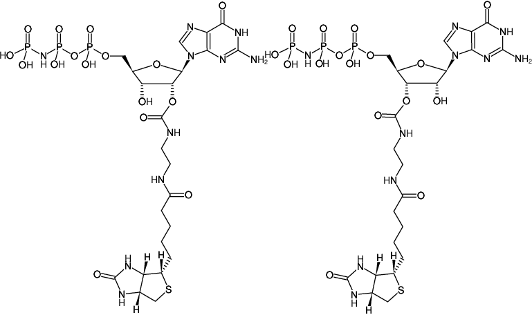 Structural formula of EDA-GppNHp (EDA-GMPPNP)-Biotin (2'/3'-O-(2-Aminoethyl-carbamoyl)-Guanosine-5'-[(β,γ)-imido] triphosphate-Biotin, Triethylammonium salt)