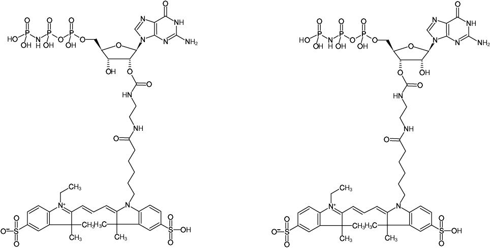 Structural formula of EDA-GppNHp (EDA-GMPPNP)-Cy3 (2'/3'-O-(2-Aminoethyl-carbamoyl)-Guanosine-5'-[(β,γ)-imido] triphosphate, labeled with Cy3, Triethylammonium salt)