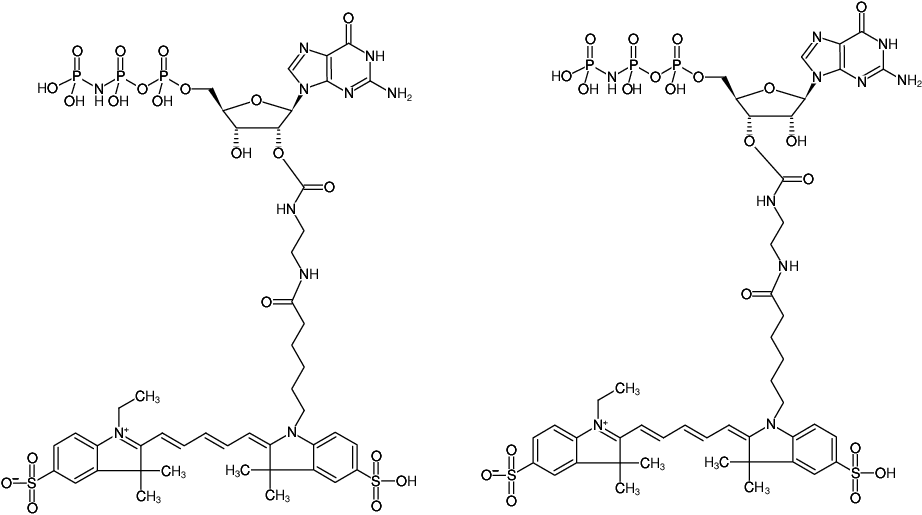 Structural formula of EDA-GppNHp (EDA-GMPPNP)-Cy5 (2'/3'-O-(2-Aminoethyl-carbamoyl)-Guanosine-5'-[(β,γ)-imido] triphosphate, labeled with Cy5, Triethylammonium salt)