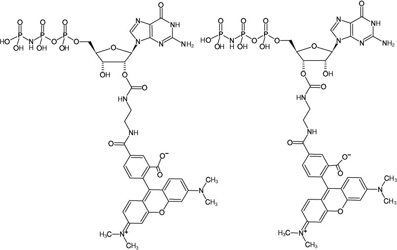 Structural formula of EDA-GppNHp (EDA-GMPPNP)-5-TAMRA (2'/3'-O-(2-Aminoethyl-carbamoyl)-Guanosine-5'-[(β,γ)-imido] triphosphate, labeled with 5-TAMRA, Triethylammonium salt)