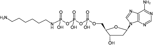 Structural formula of γ-[(6-Aminohexyl)-imido]-dATP (γ-[(6-Aminohexyl)-imido]-2'-deoxyadenosine-5'-triphosphate, Sodium salt)