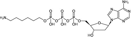 Structural formula of γ-(6-Aminohexyl)-dATP (γ-(6-Aminohexyl)-2'-deoxyadenosine-5'-triphosphate, Triethylammonium salt)