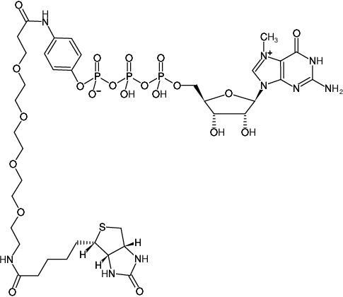 Structural formula of m7GTP-γ-aminophenyl-PEG4-Biotin (7-Methylguanosine-5'-[γ-(4-aminophenyl)-PEG4]-5'-triphosphate-Biotin, Sodium salt)