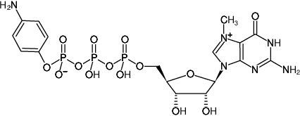 Structural formula of γ-Aminophenyl-m7GTP (7-Methylguanosine-5'-[γ-(4-aminophenyl)]triphosphate, Sodium salt)