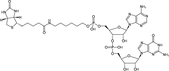 Structural formula of 5'-Biotin-ApG (Sodium salt)