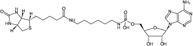 Structural formula of Biotin-AMP (α-[(6-Aminohexyl)imido]-AMP - Biotin, Triethylammonium salt)