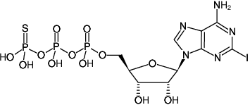 Structural formula of 2-Iodo-ATPγS ((2I-ATPγS), 2-Iodo-adenosine-5'-(γ-thio)-triphosphate, Sodium salt)