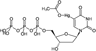 Structural formula of 5-AcOHg-dUTP (5-Mercuryacetate-2'-deoxyuridine-5'-triphosphate, Triethylammonium salt)