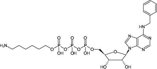 Structural formula of γ-(6-Aminohexyl)-N6-Benzyl-ATP (γ-(6-Aminohexyl)-N6-benzyl-adenosine-5'-triphosphate, Sodium salt)