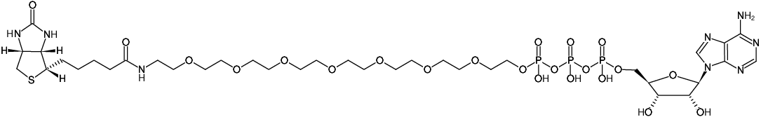 Structural formula of γ-PEG8-ATP-Biotin (γ-PEG8-Adenosine-5'-triphosphate-Biotin, Triethylammonium salt)