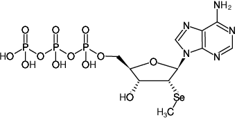 Structural formula of 2'MeSe-ATP (2'-Methylseleno-adenosine-5'-triphosphate, Sodium salt)