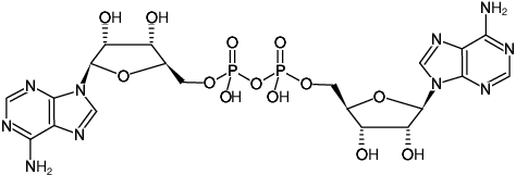 Structural formula of AP2A  (P1-(5'-Adenosyl) P2-(5'-adenosyl) diphosphate, Sodium salt)