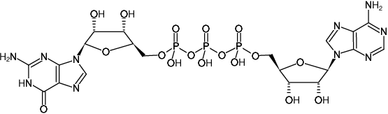 Structural formula of AP3G (A cap) - Solid ((ApppG), GP3A, GpppA, G(5')ppp(5')A, P1-(5'-Adenosyl) P3-(5'-guanosyl) triphosphate, Sodium salt)