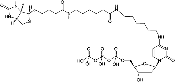 Structural formula of Biotin-14-dCTP (Bio-14-dCTP, Triethylammonium salt)